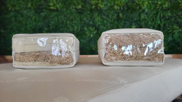Natur Matratze Holzwolle – Detailaufnahme verschiedener Varianten